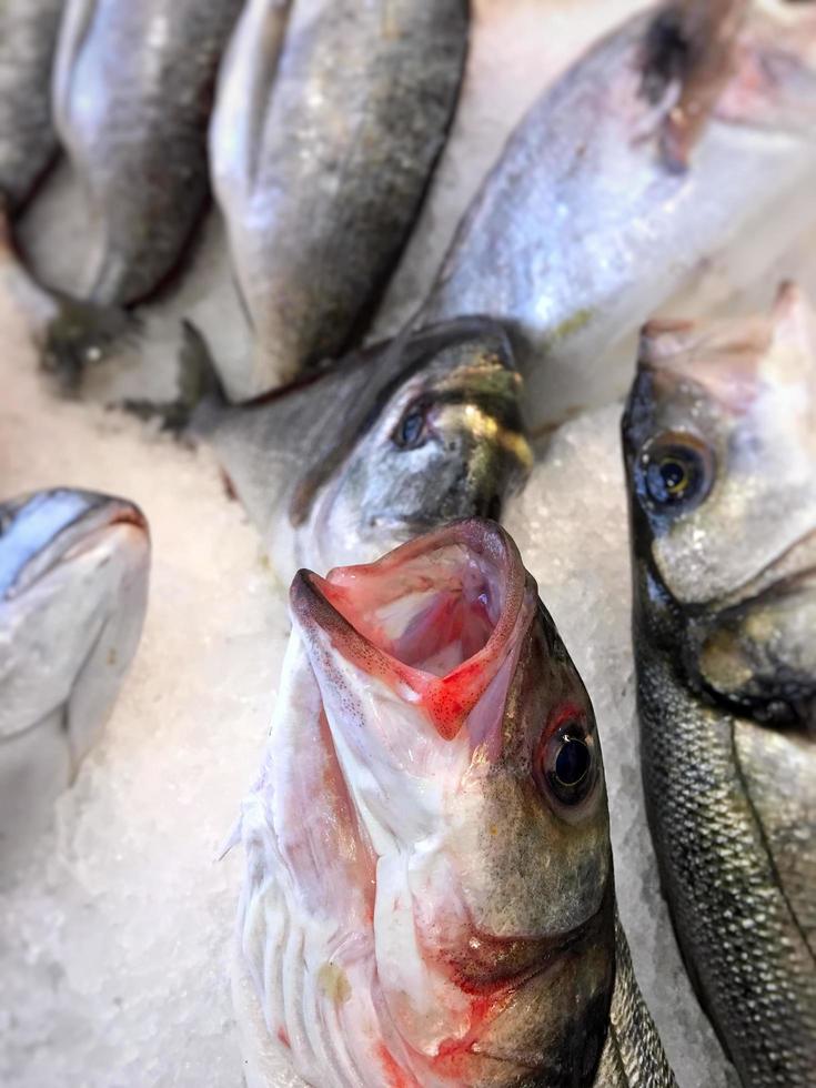 peixes crus de frutos do mar frescos no gelo foto