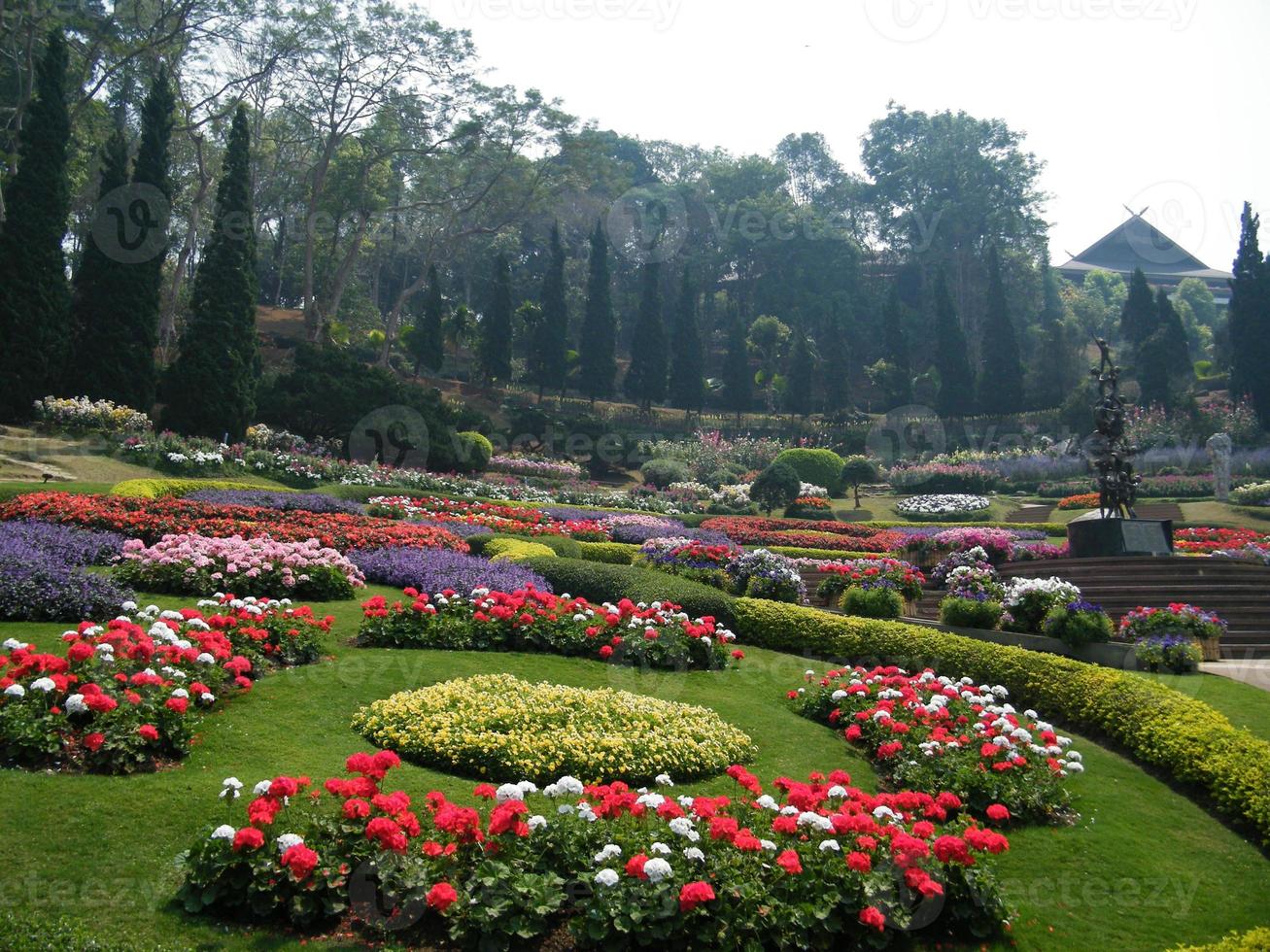 flores no jardim botânico da Índia, coloridas e bonitas foto