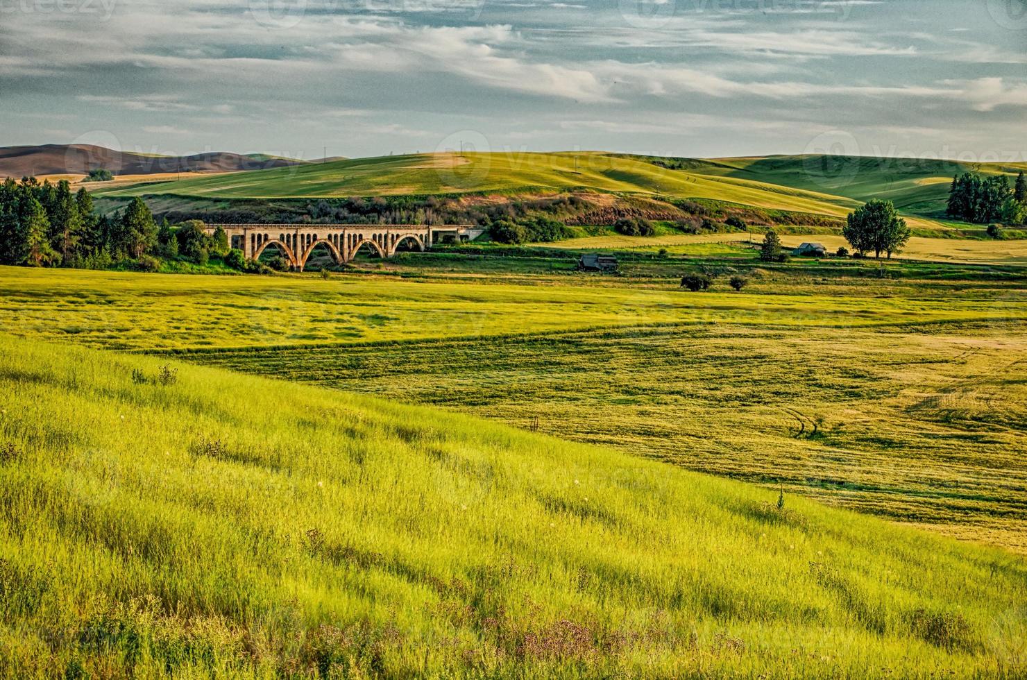 campos mágicos de fazenda de trigo em Palouse Washington foto