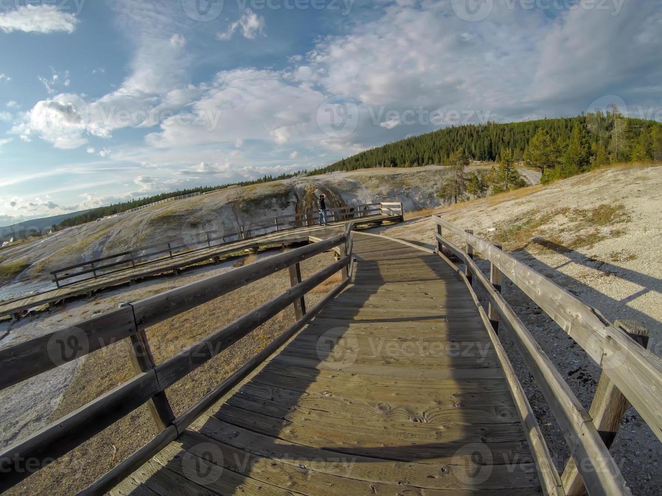 velho e fiel geysersac no parque nacional de Yellowstone foto