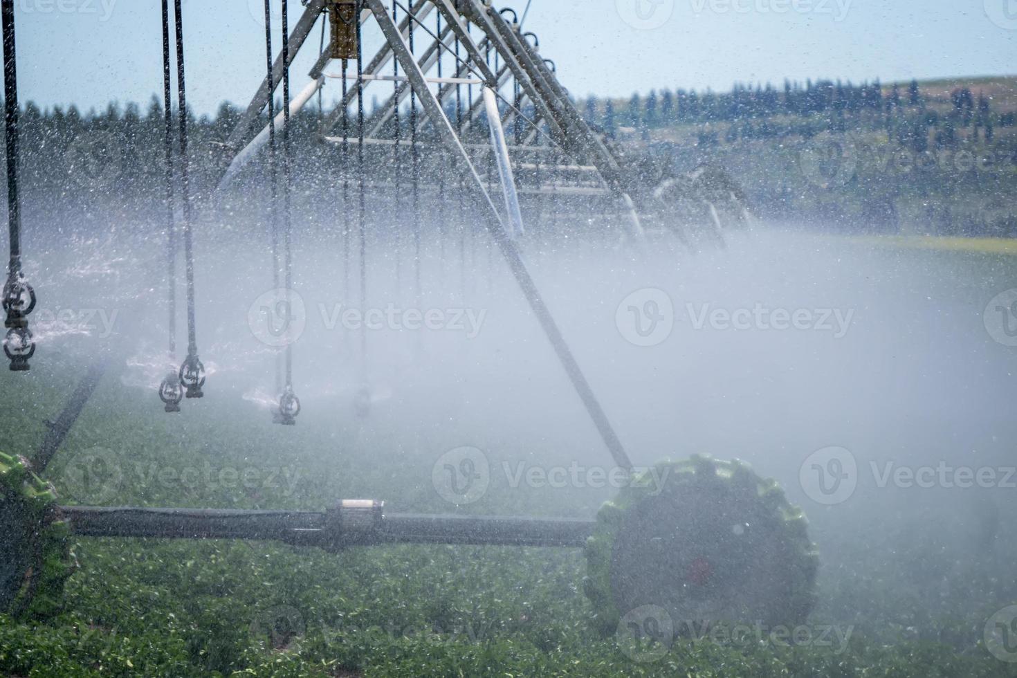 equipamento de irrigação em campo agrícola em dia ensolarado foto