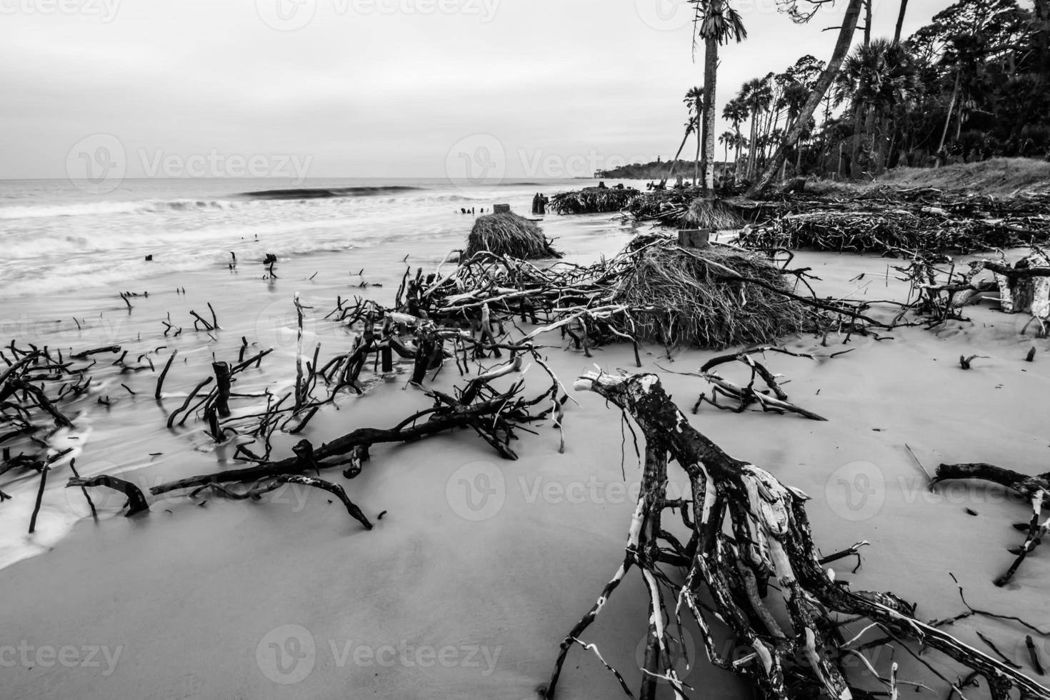 cenas de praia na ilha de caça da carolina do sul foto