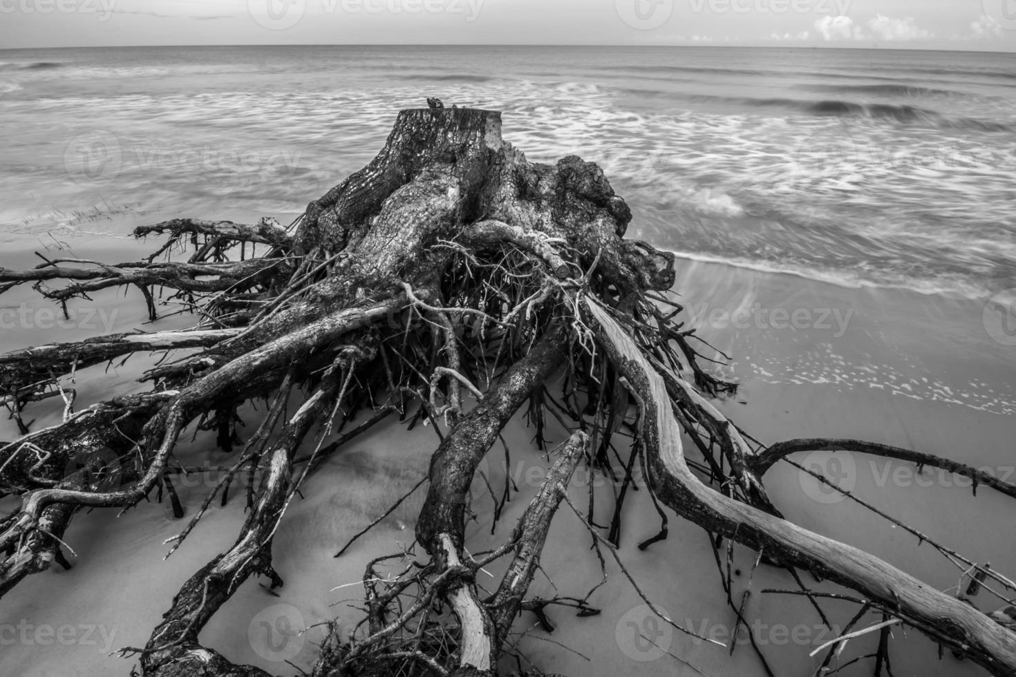 cenas de praia na ilha de caça da carolina do sul foto