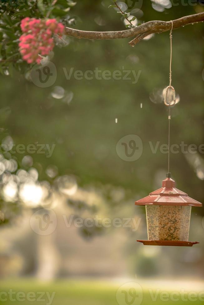 alimentador de pássaros e chuva de verão na vizinhança foto
