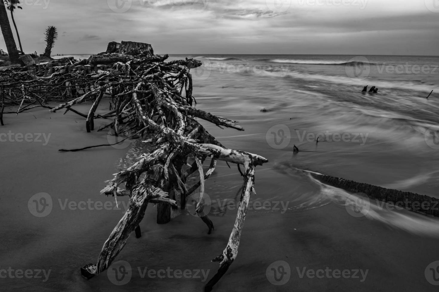 cenas de praia na ilha de caça da carolina do sul foto