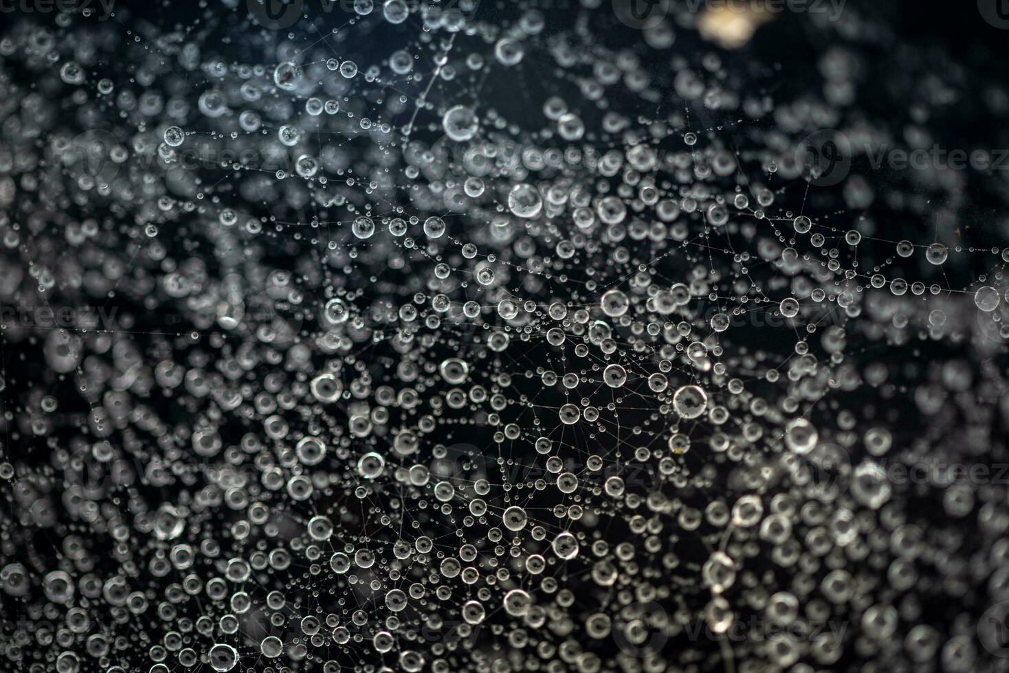 água gotas, gotas preso em uma teia de aranha depois de chuva foto