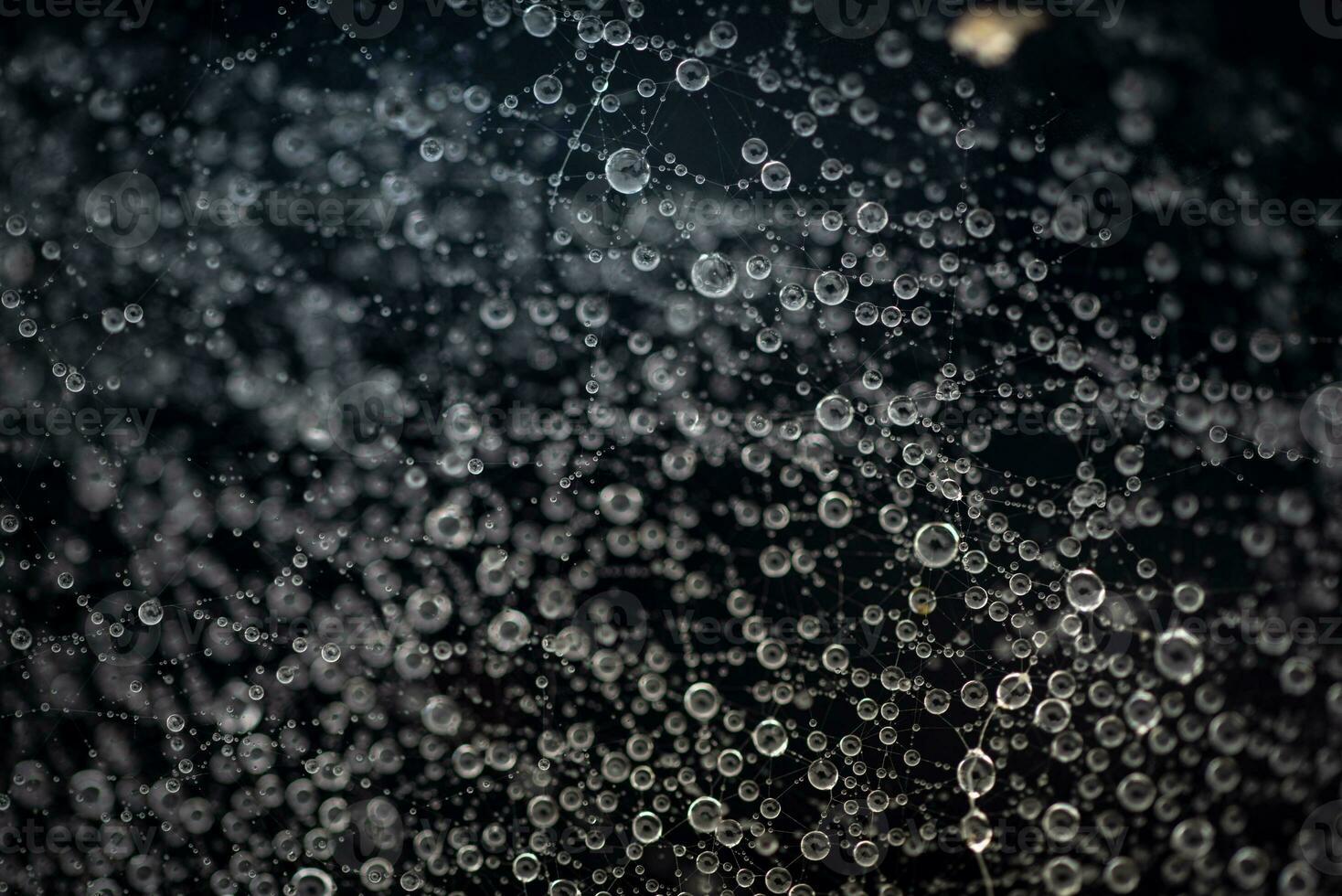 água gotas, gotas preso em uma teia de aranha depois de chuva foto