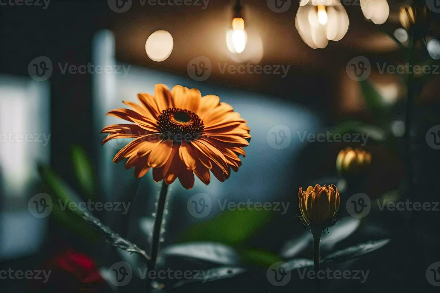 laranja flor dentro a Sombrio com luzes. gerado por IA foto