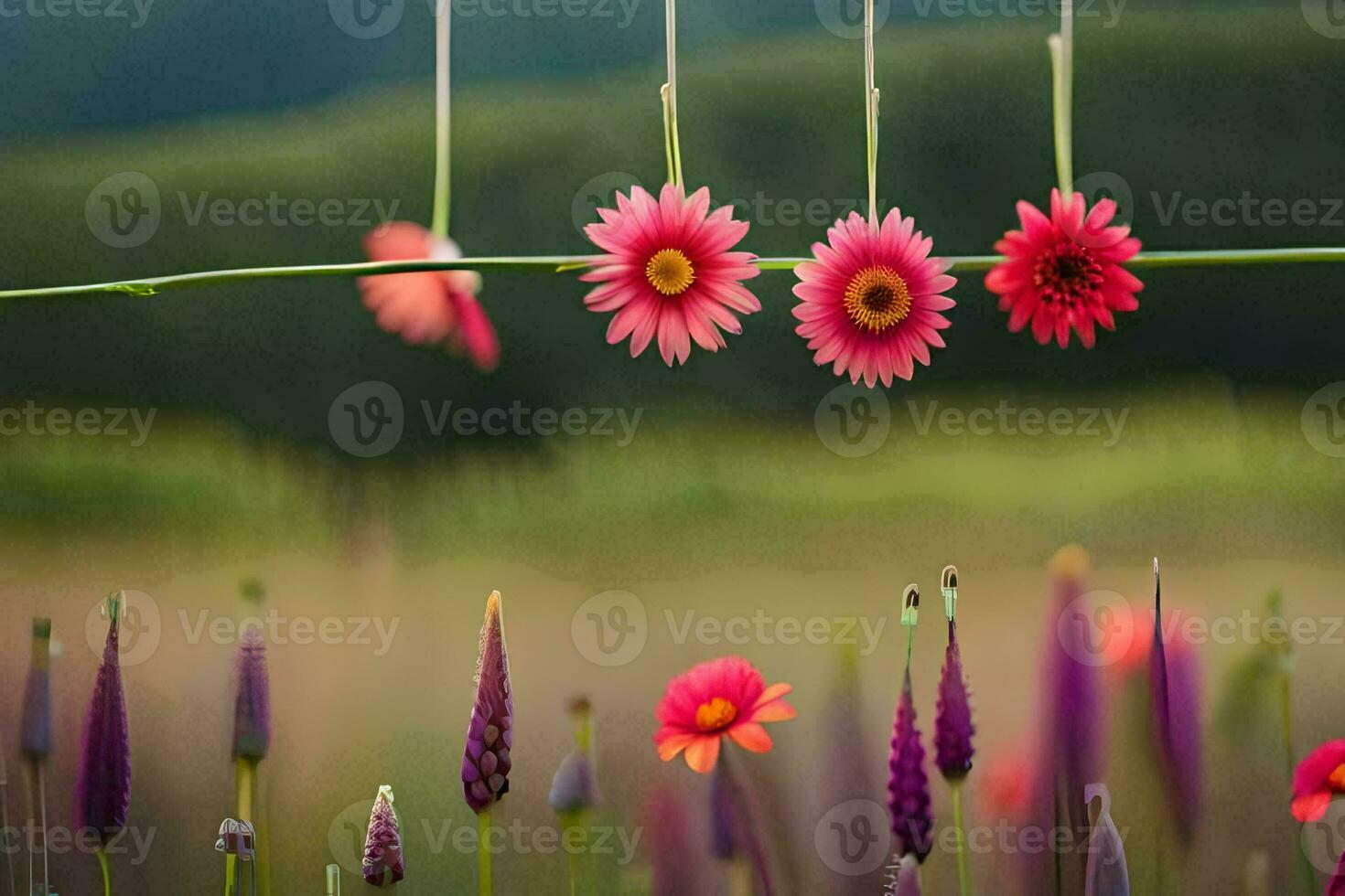 foto papel de parede a céu, flores, a campo, a flores, a campo, a flores,. gerado por IA