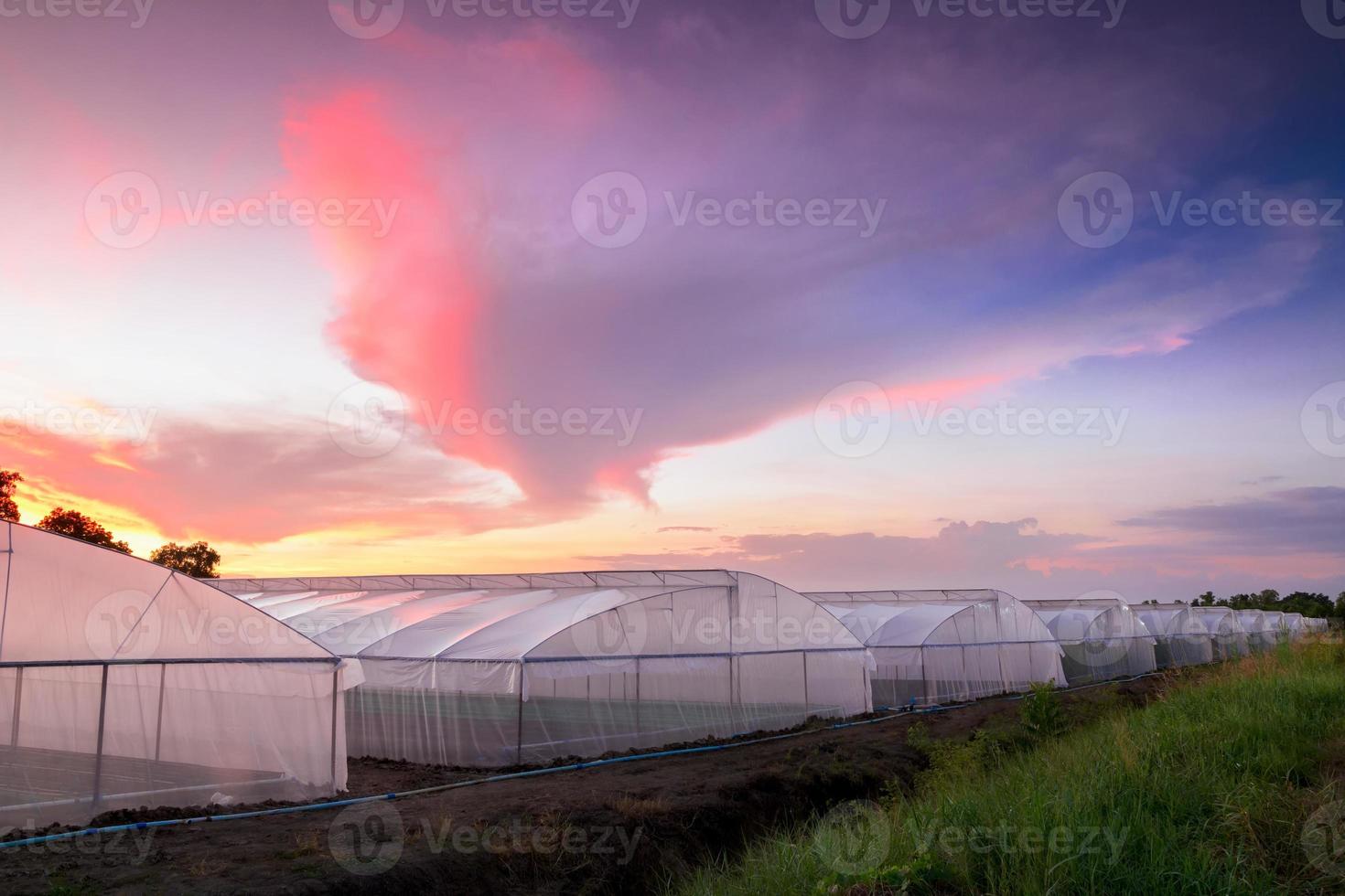 estufa na fazenda ao pôr do sol foto