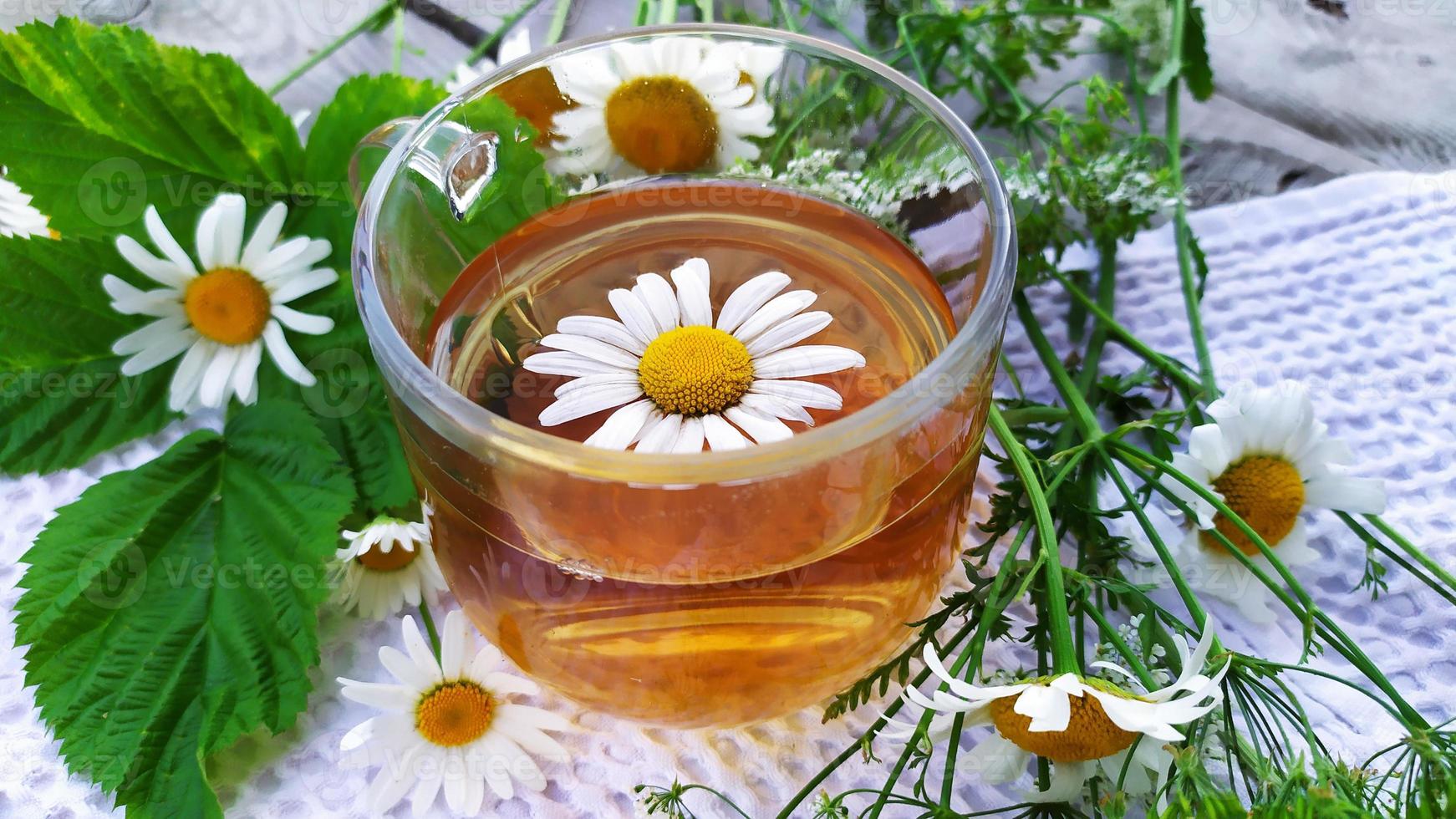 bebida de camomila. chá com flores de camomila. flores e um copo foto