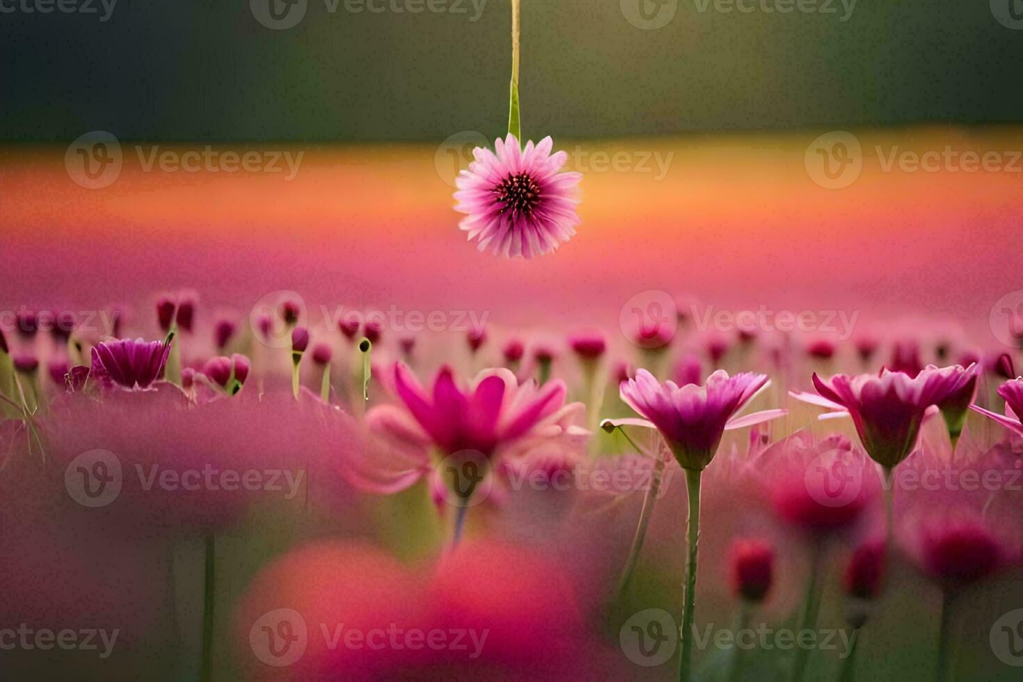 uma Rosa flor é suspensão a partir de uma videira dentro uma campo. gerado por IA foto