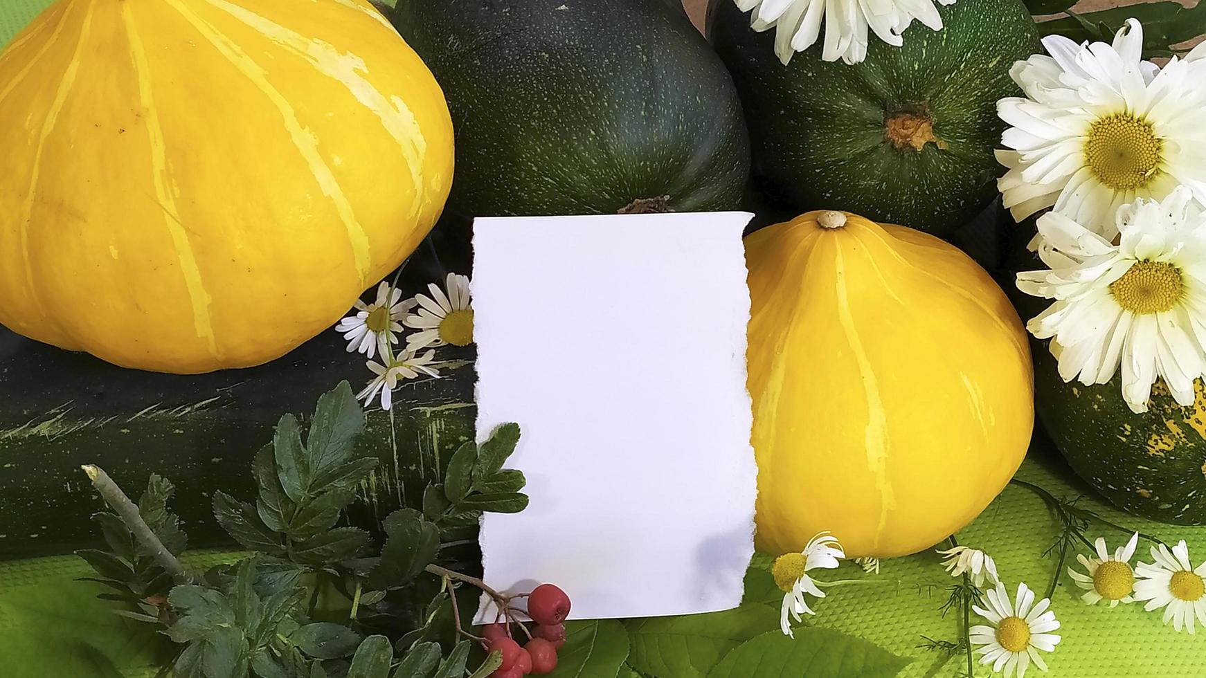 outono natureza morta de vegetais e flores com um vazio para o texto foto