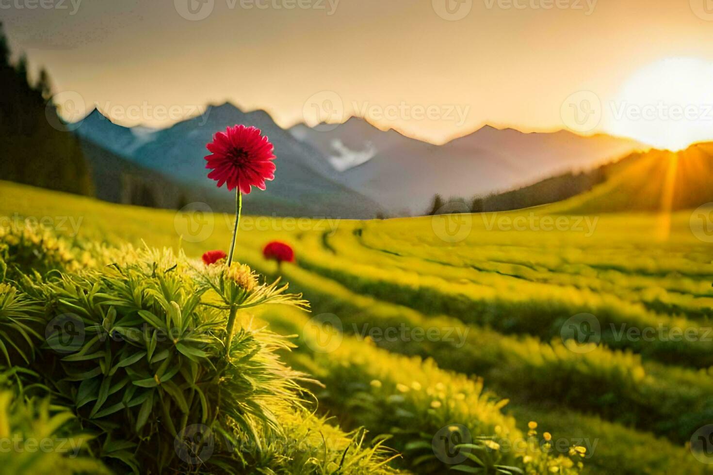 a Sol sobe sobre uma campo do verde Relva e flores gerado por IA foto