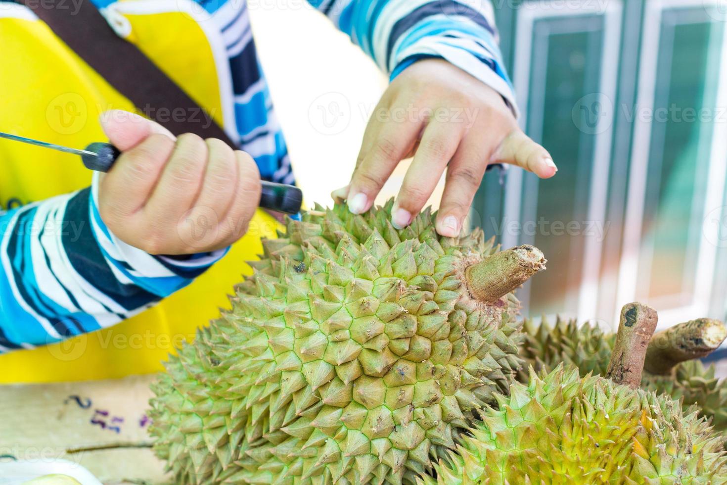 mãos de mulher removendo casca de durian foto