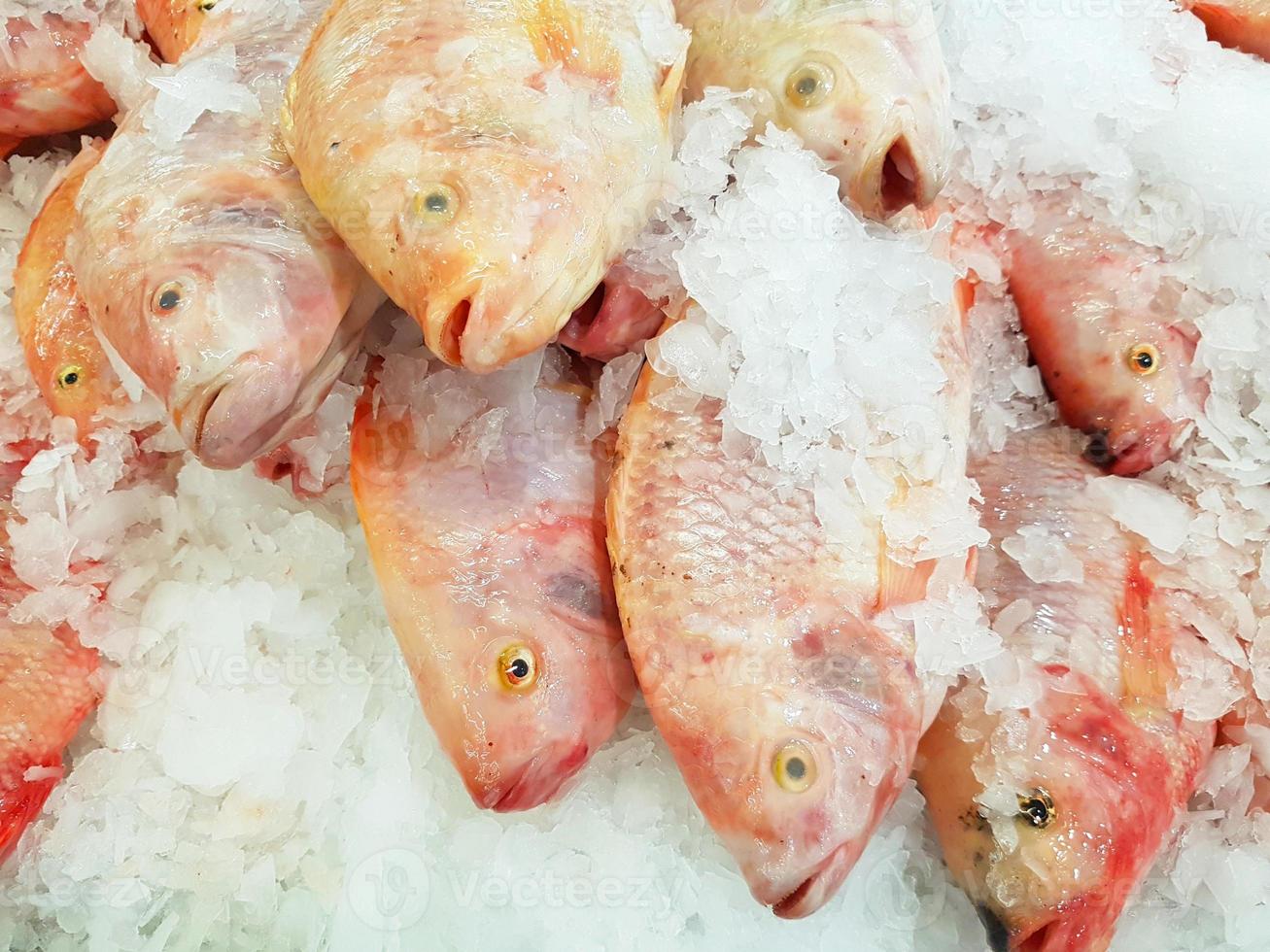 Peixe rubi rosa com gelo à venda no supermercado foto