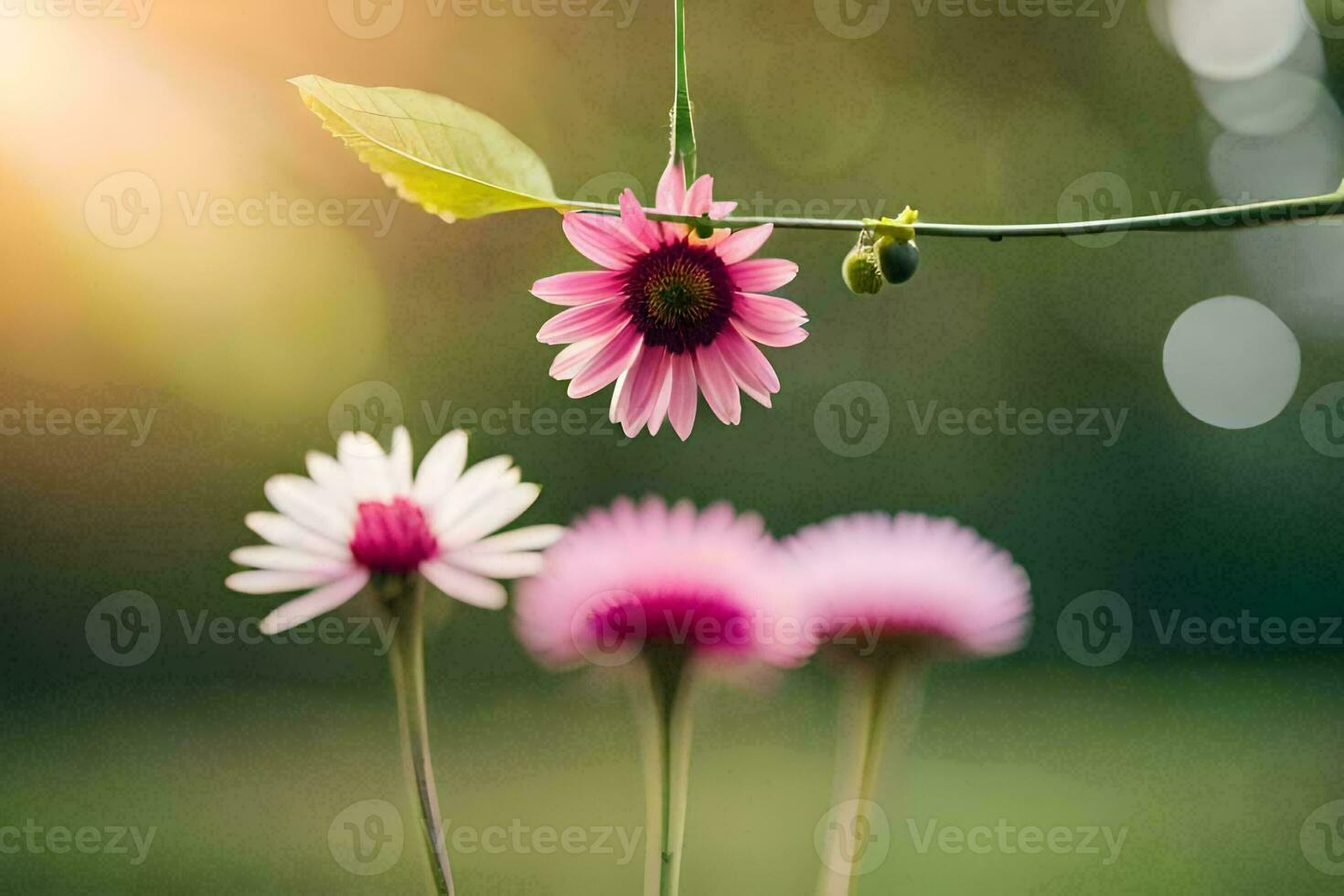 Rosa flores dentro a Sol. gerado por IA foto