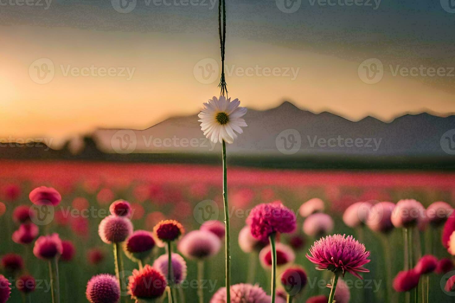 uma flor suspensão a partir de uma corda dentro uma campo. gerado por IA foto