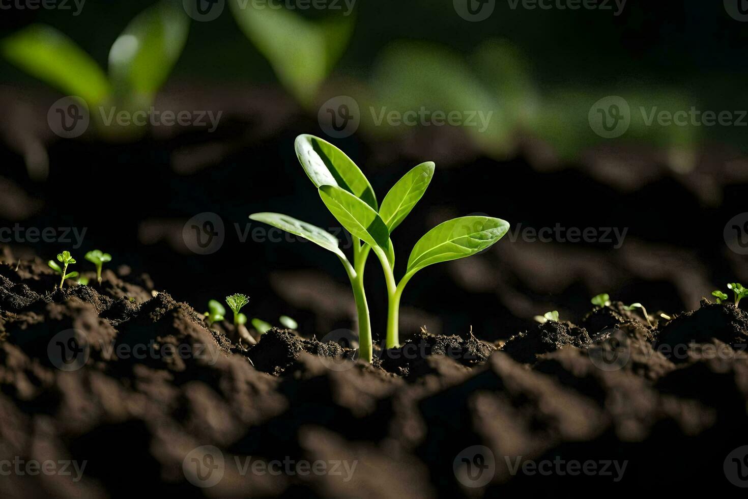 uma pequeno plantar brotos a partir de a solo dentro uma campo. gerado por IA foto