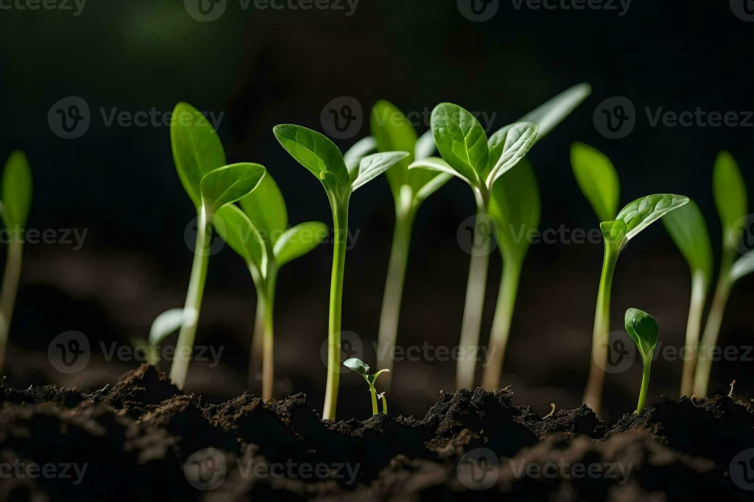 uma grupo do jovem plantas crescendo dentro a solo. gerado por IA foto