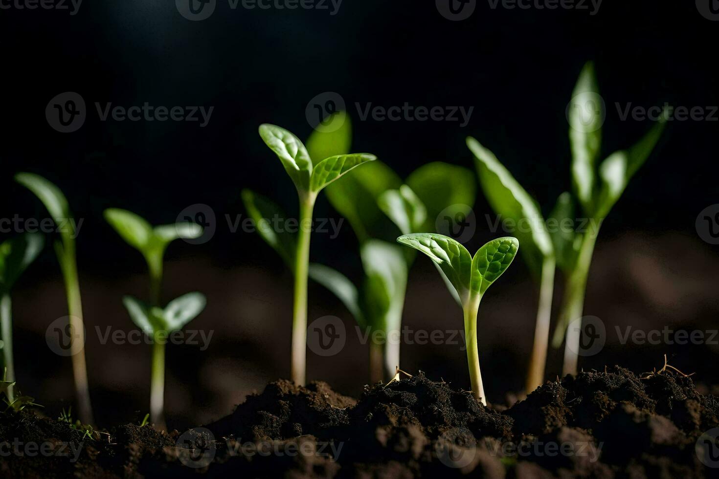jovem plantas brotando a partir de a solo. gerado por IA foto