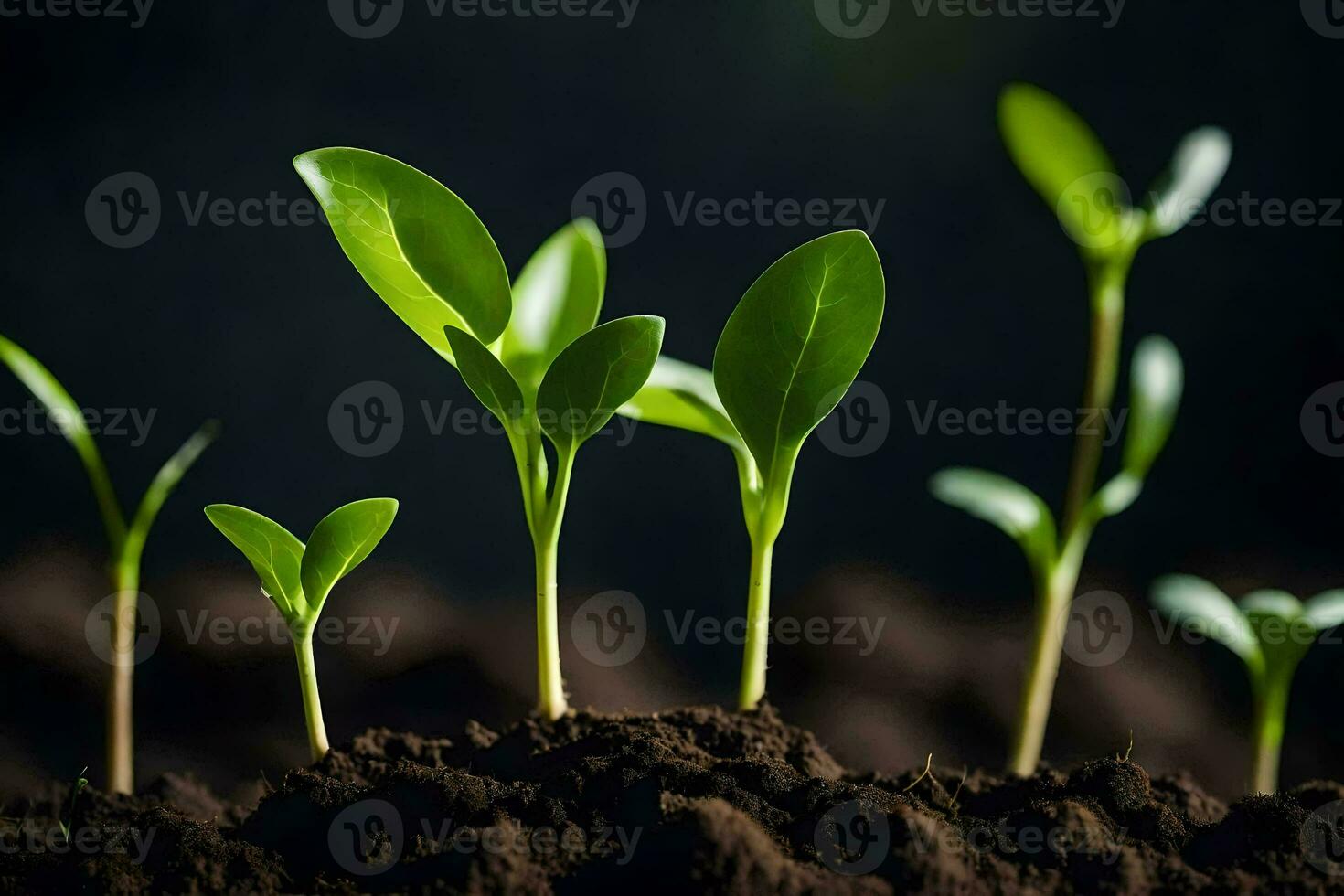 jovem plantas brotando a partir de a solo. gerado por IA foto