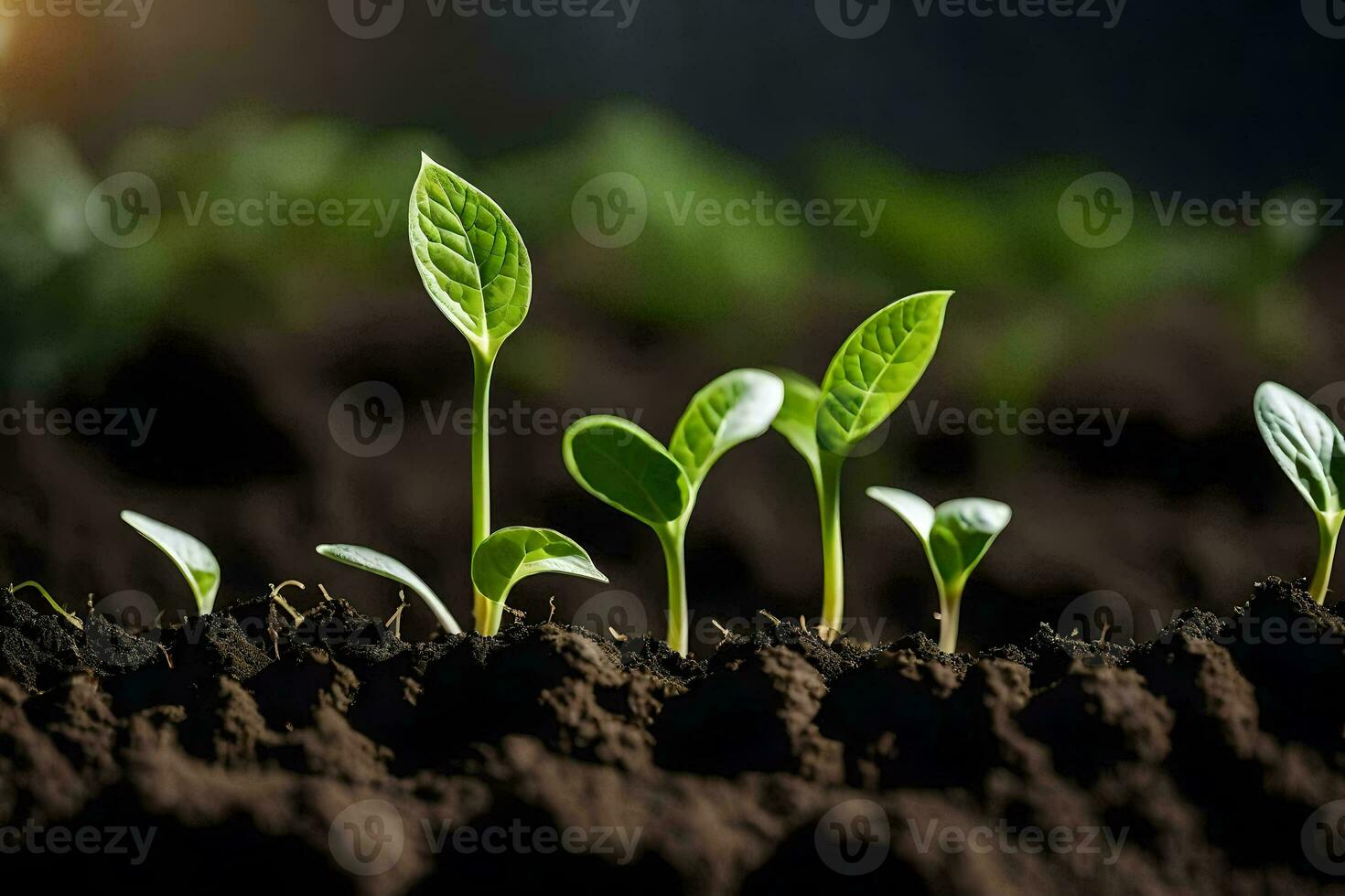 uma grupo do jovem plantas crescendo dentro a sujeira. gerado por IA foto