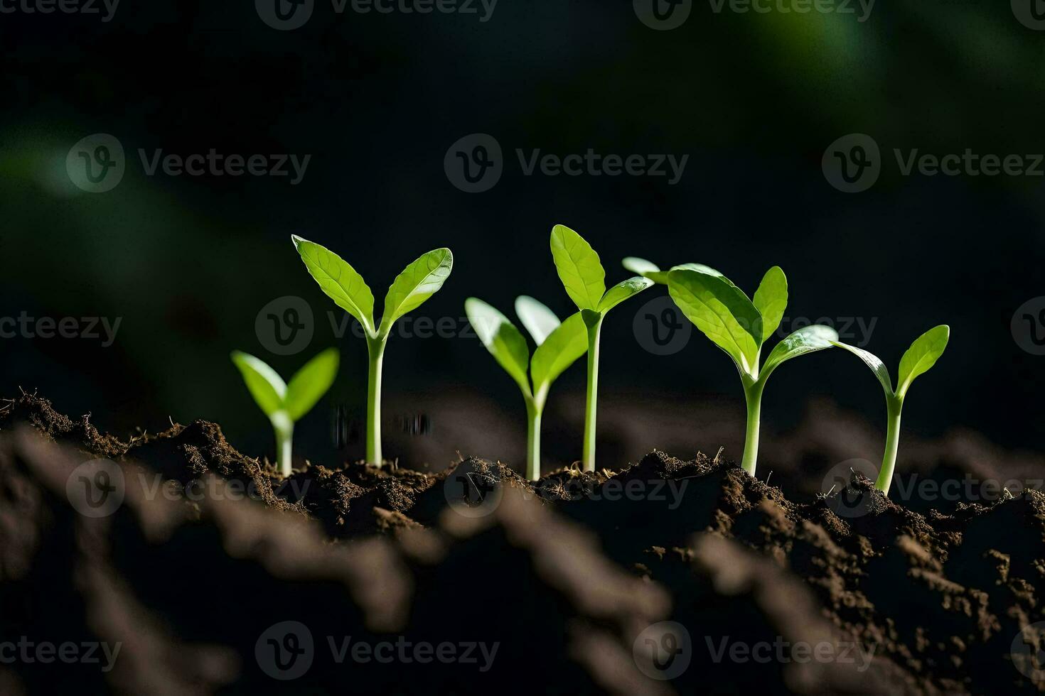 uma grupo do jovem plantas crescendo dentro a sujeira. gerado por IA foto