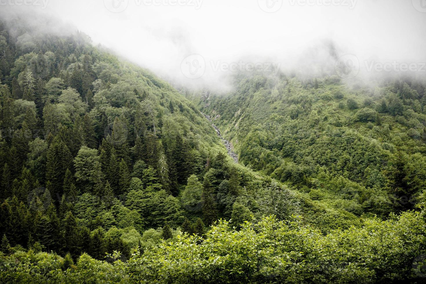 mar negro, vila rize cat creek, turquia, vista foto