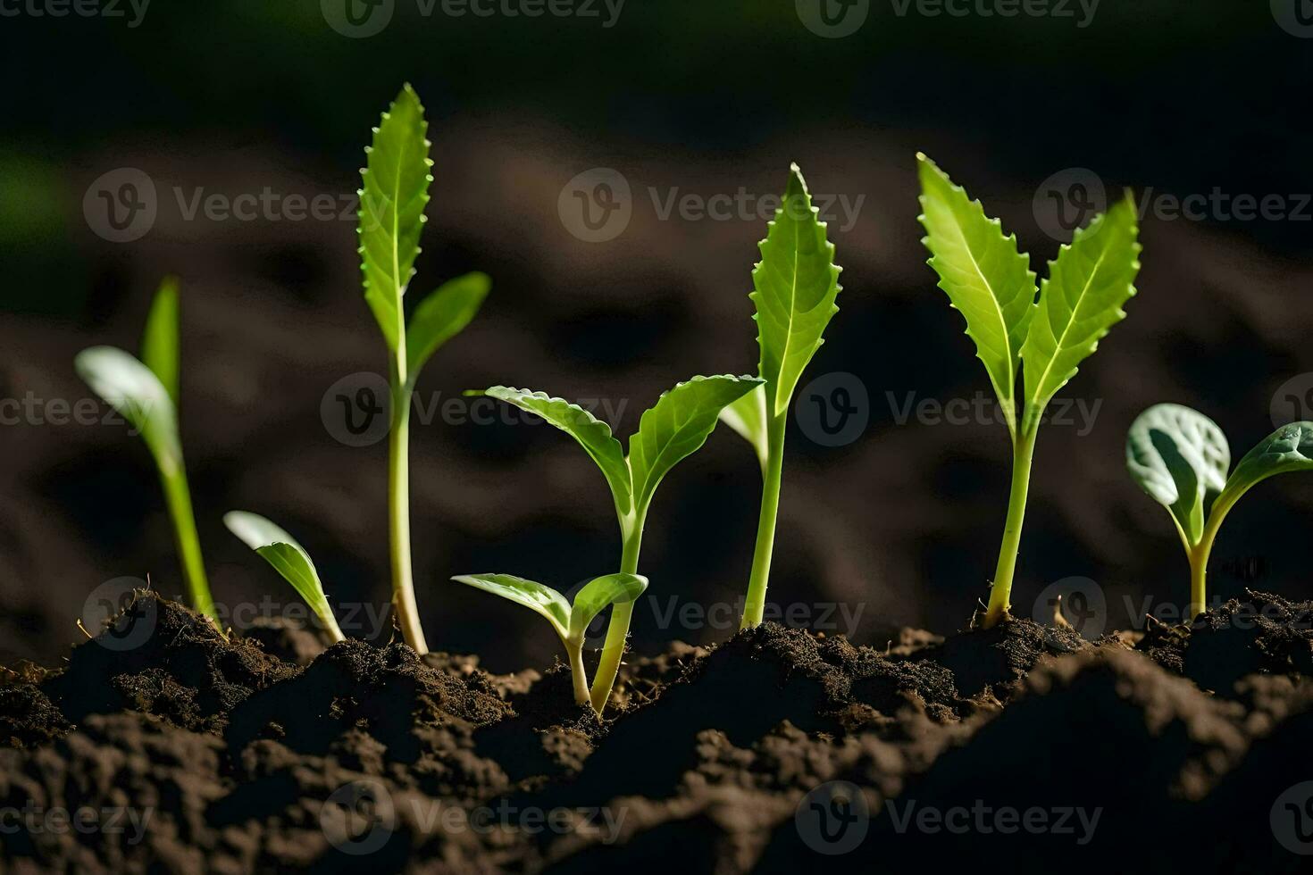 uma grupo do jovem plantas crescendo dentro a sujeira. gerado por IA foto