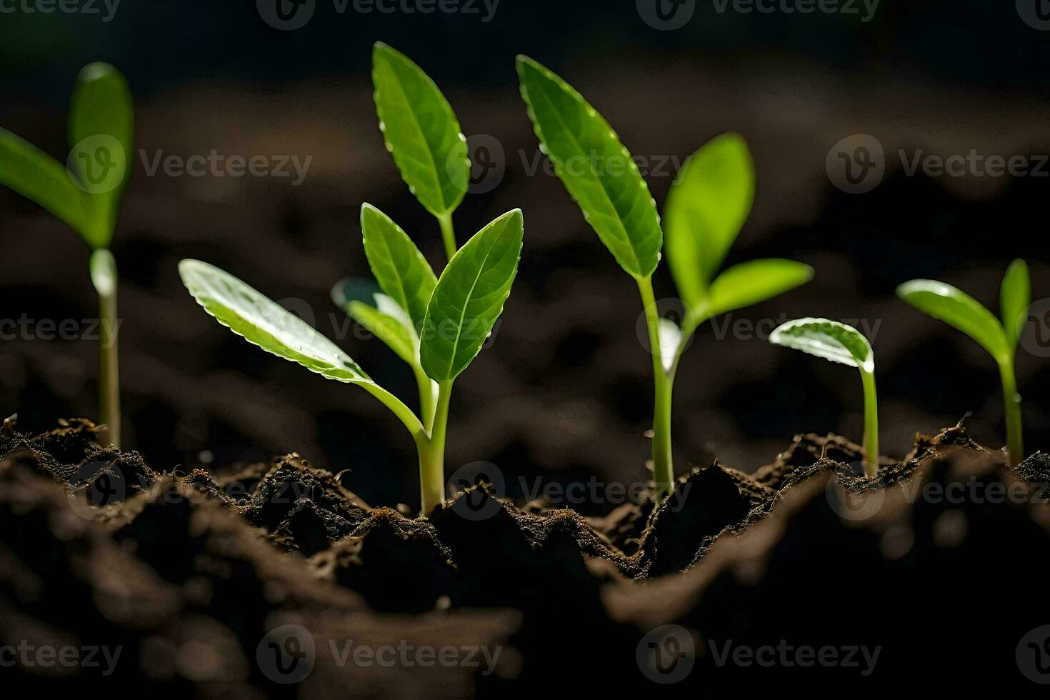 uma fechar acima do jovem plantas crescendo dentro a sujeira. gerado por IA foto