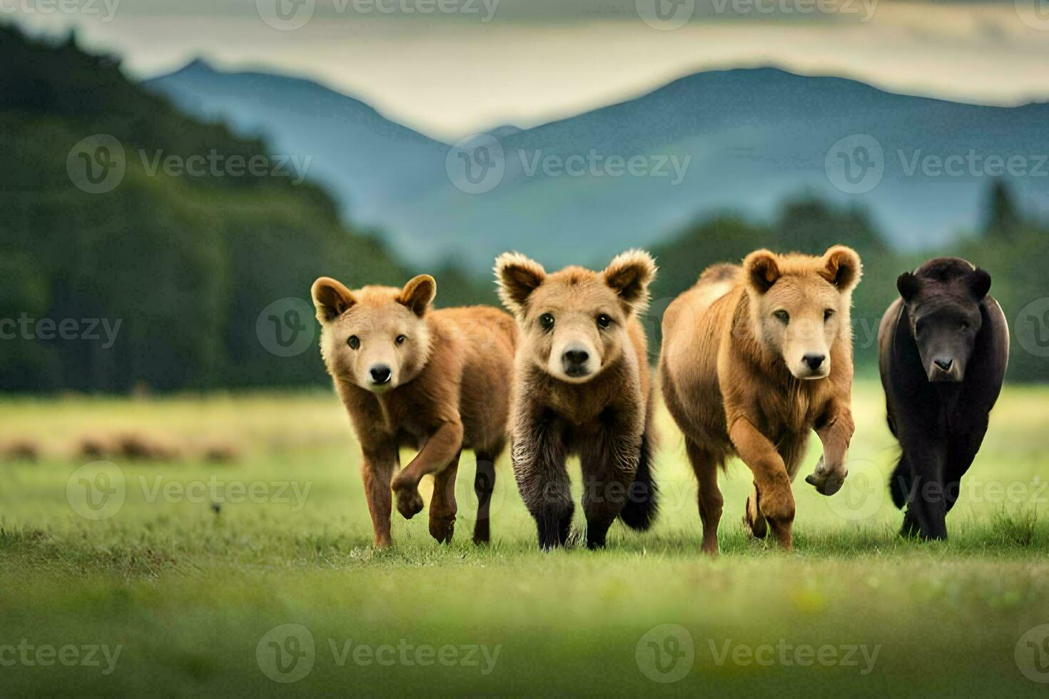 quatro Castanho ursos corrida dentro uma campo. gerado por IA foto
