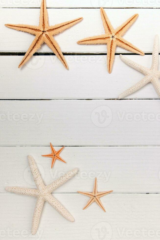 estrelas do mar em branco madeira foto