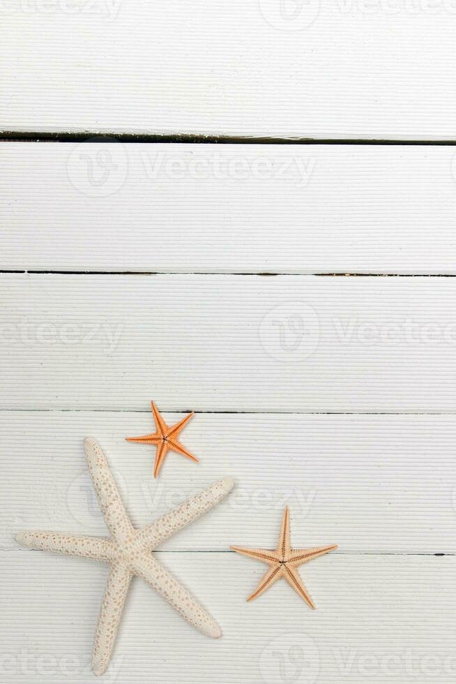 estrelas do mar em branco madeira foto
