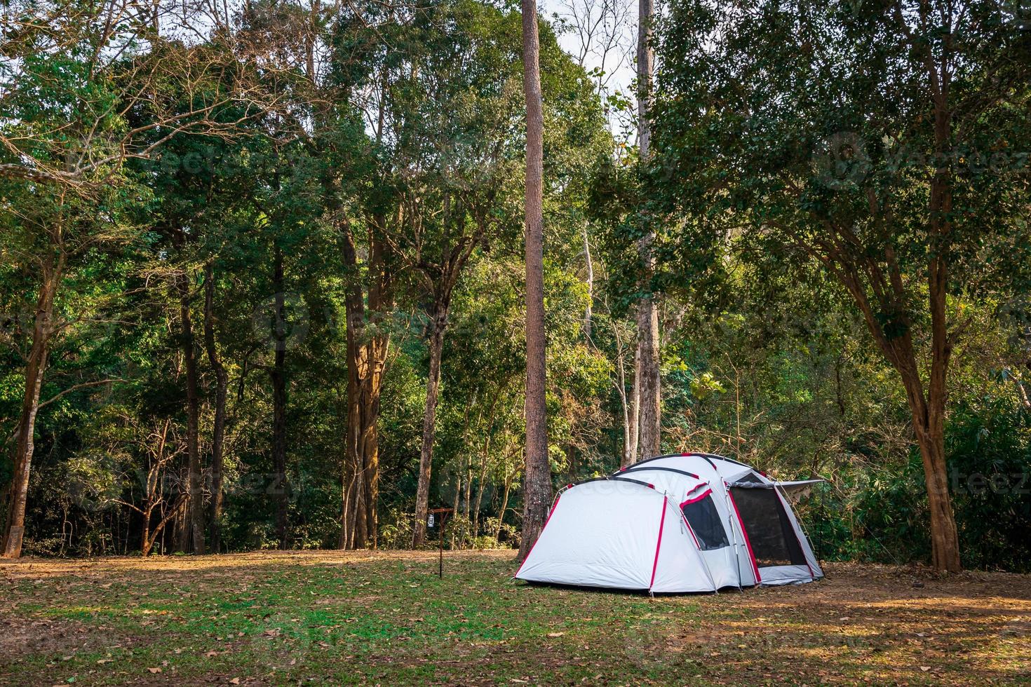 acampamento e barraca no parque natural foto