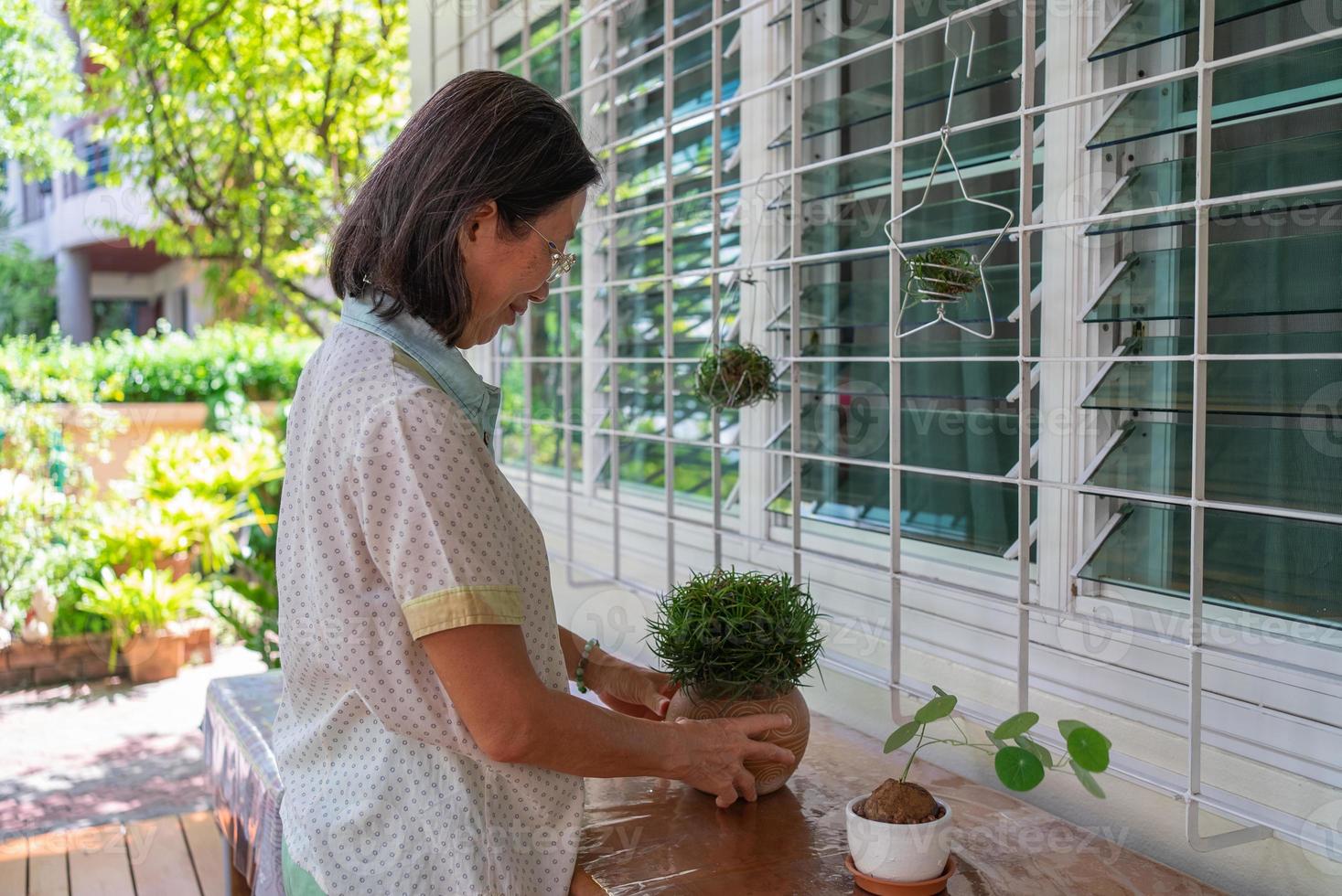 mulher asiática sênior cultivando uma pequena planta em um vaso para decorar a casa foto