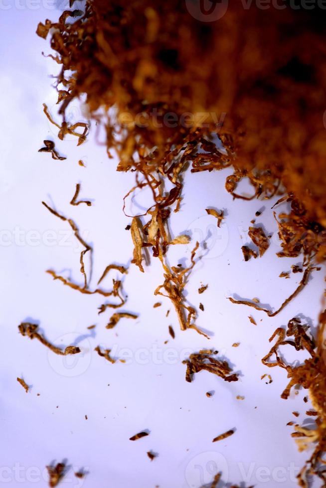 folhas de tabaco rolando close up background stock photography prints foto