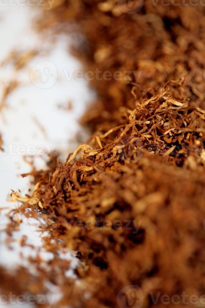 folhas de tabaco rolando close up background stock photography prints foto