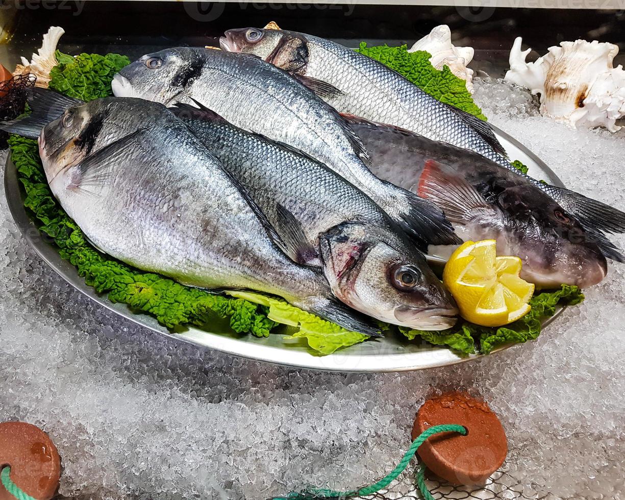 salmão de atum e filé de perca de lúcio foto