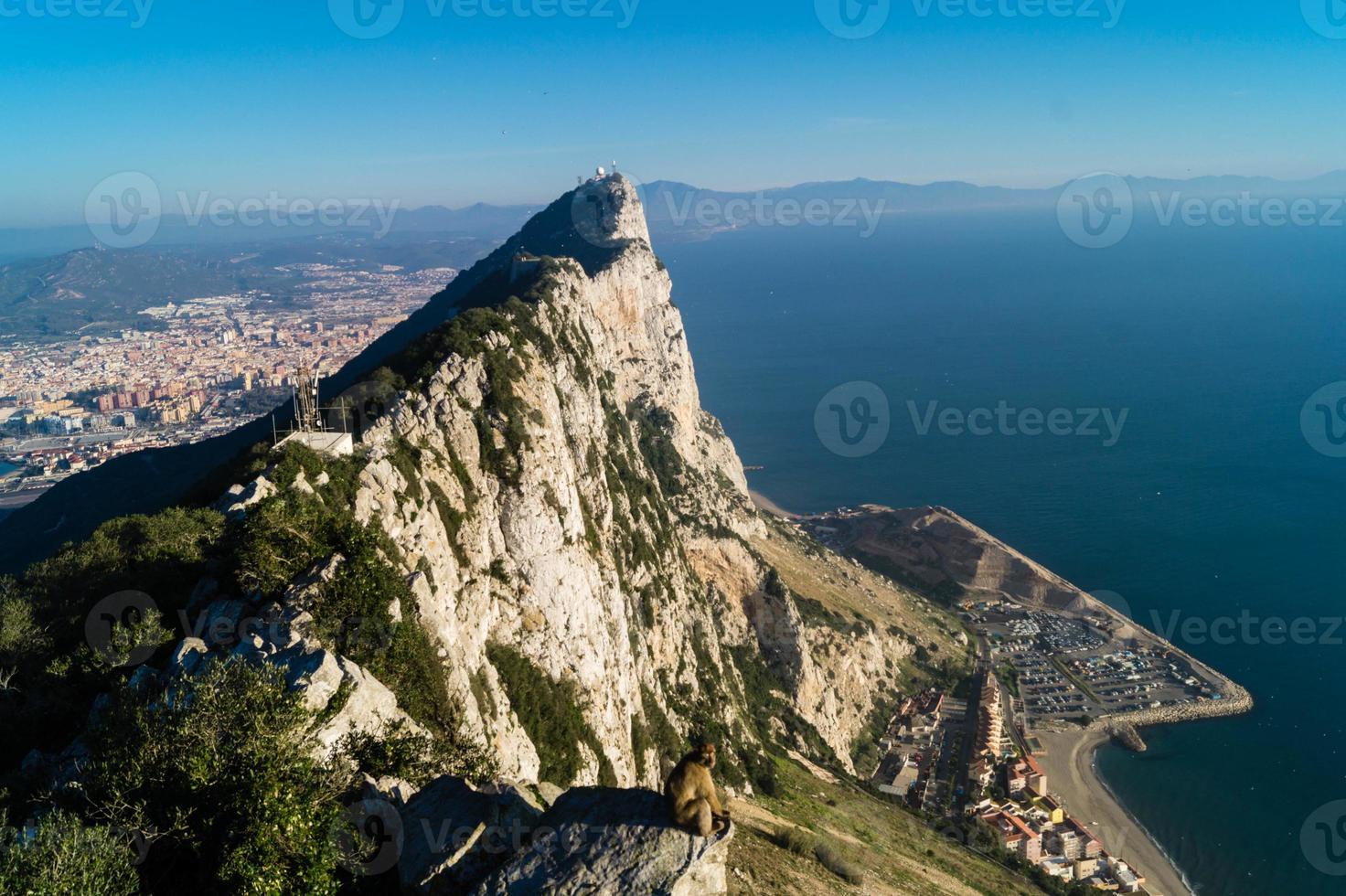 macacos magot barbary sylvanus macaca ape em gibraltar foto