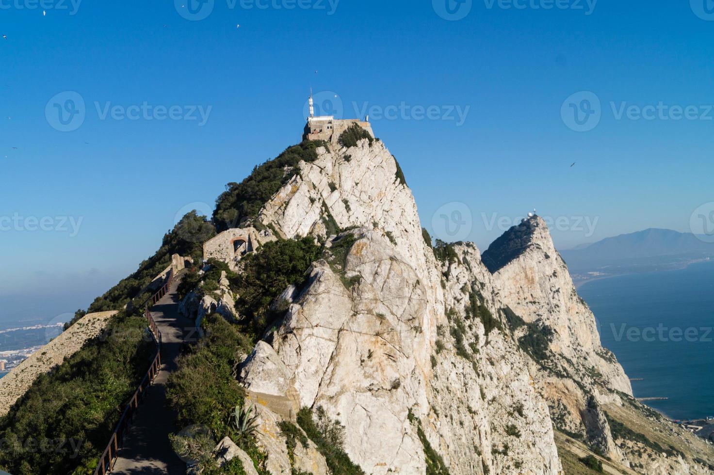 gibraltar, os macacos balançam no mar mediterrâneo foto