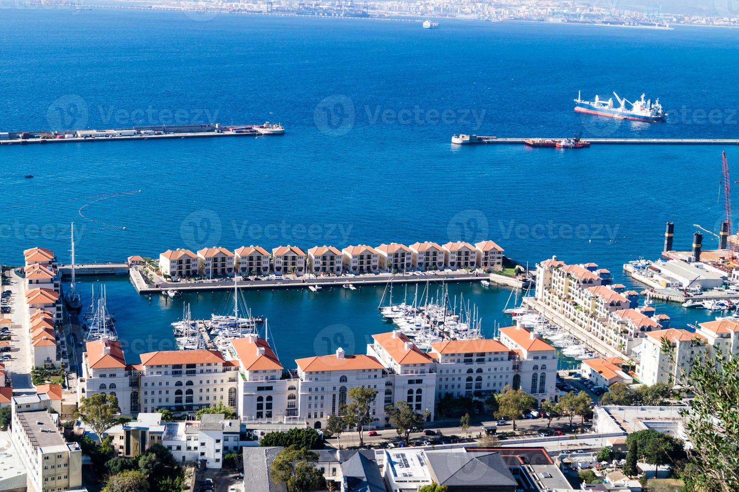 gibraltar, os macacos balançam no mar mediterrâneo foto