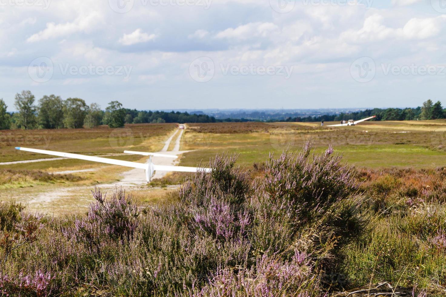 na reserva natural fischbeker heide próximo a hamburgo alemanha foto