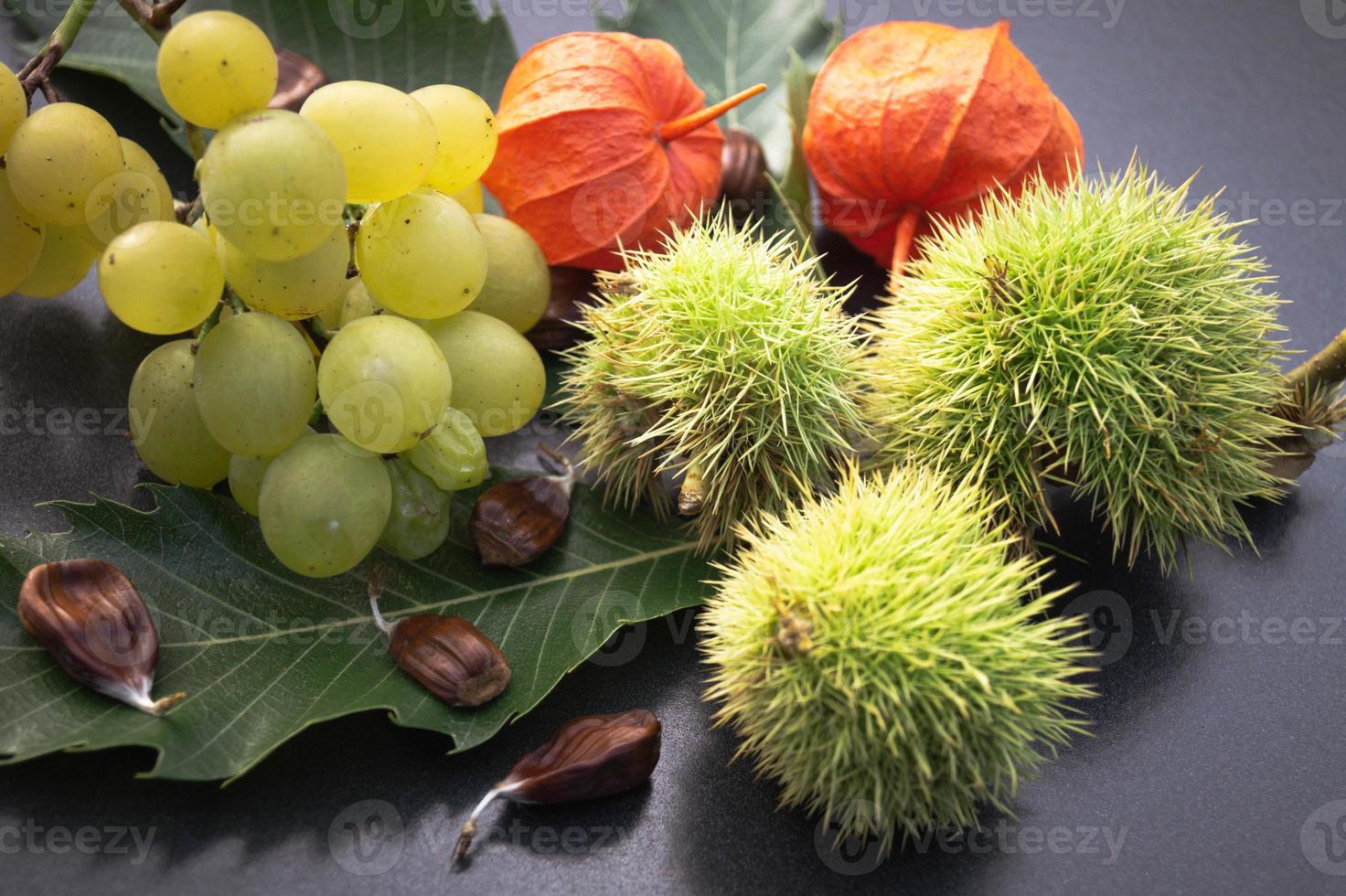 os frutos da castanha espinhosa amadurecem no outono foto