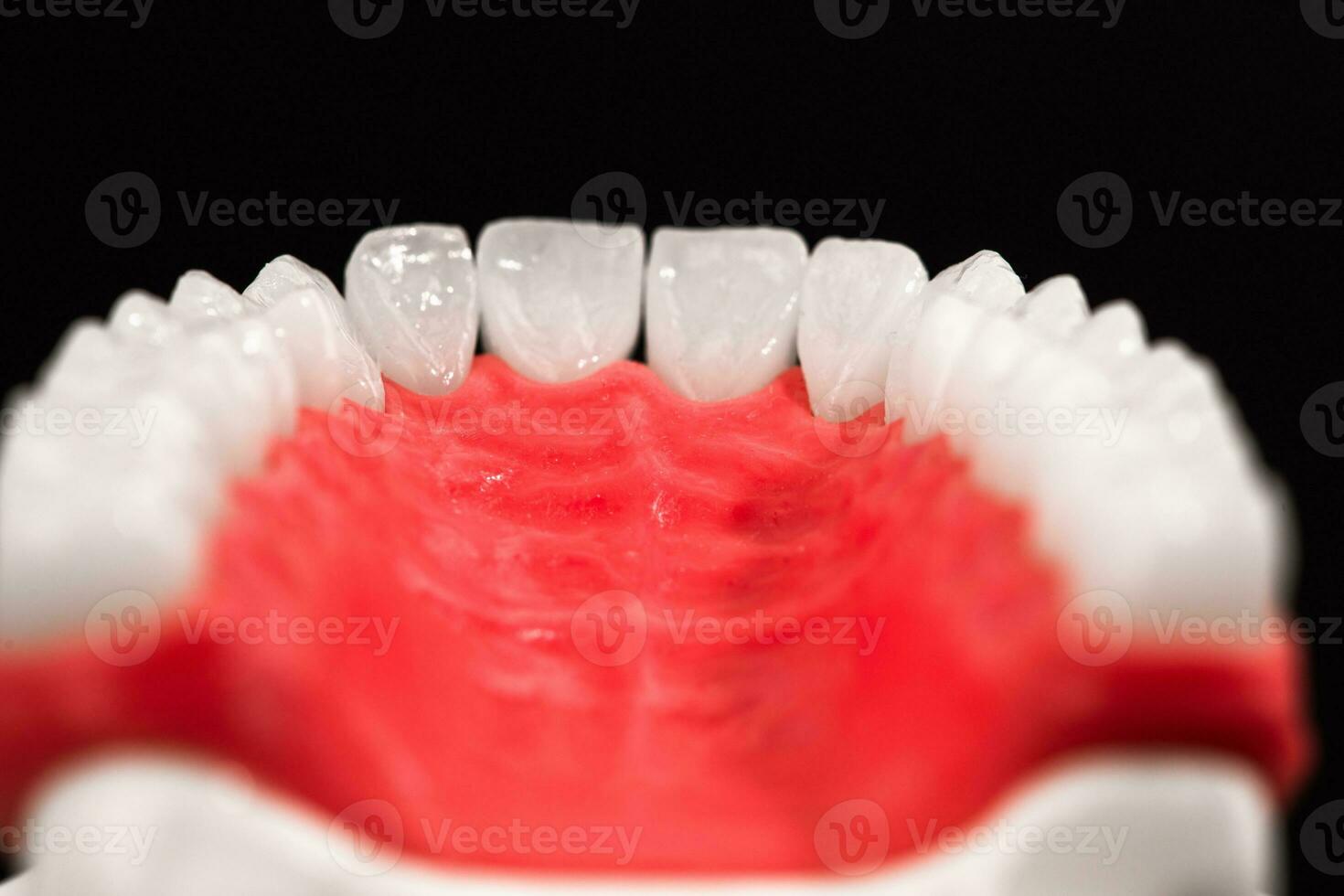 mais baixo humano mandíbula com dentes anatomia modelo isolado em Preto fundo. saudável dentes, dental Cuidado e ortodôntico médico conceito. foto