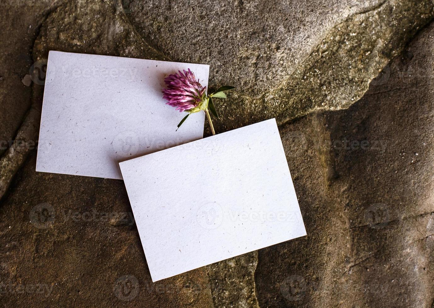 detalhes do casamento plana leigos. convite de casamento. brincar. trevo. foto