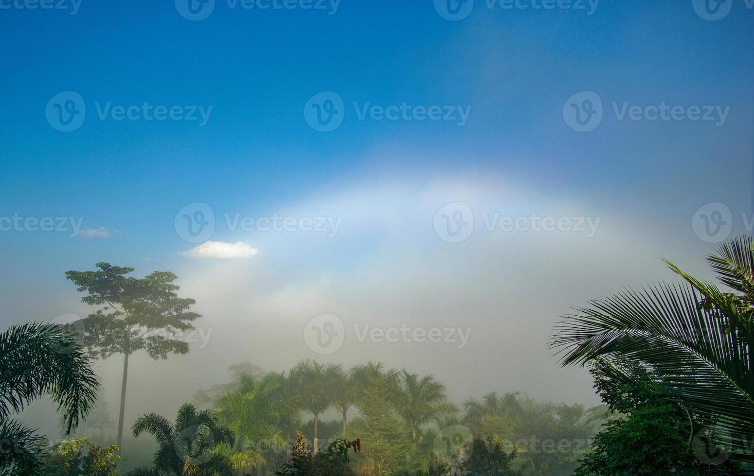 fenômenos naturais. fogbow ou arco-íris branco ocorrem acima da névoa. foto