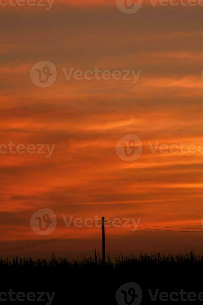 atmosfera do a tarde céu Como a Sol conjuntos, a céu é vermelho, parece assustador mas esquentar, romântico atmosfera dentro a campo do tailândia. foto