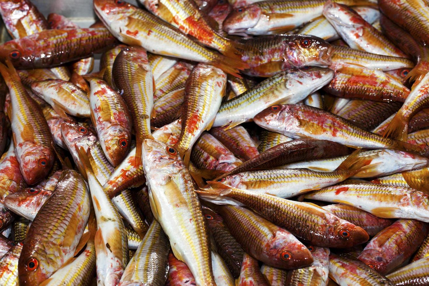 peixes crus de frutos do mar frescos no mercado foto