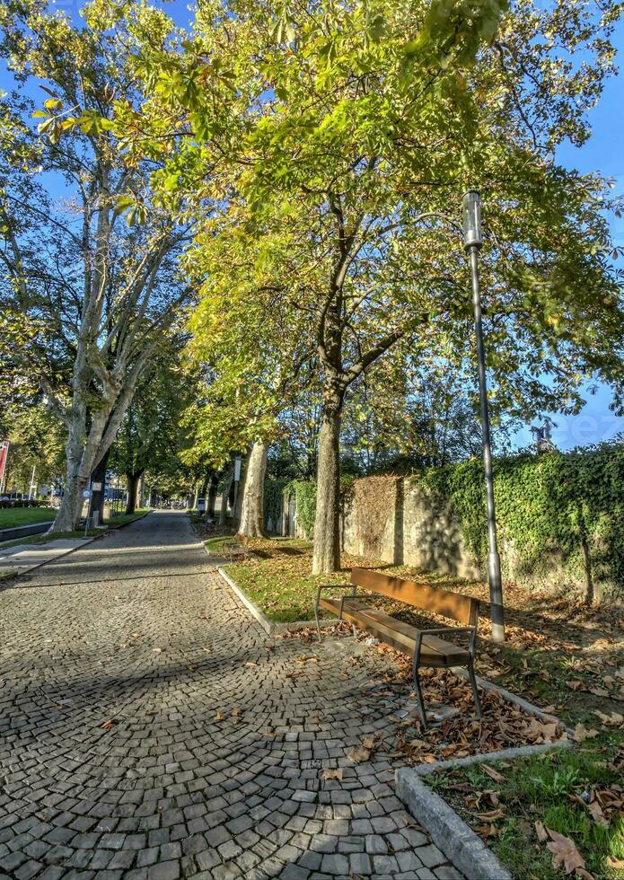 Banco dentro carruagem cidade, Genebra, Suíça foto